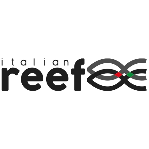 logo inicio 3